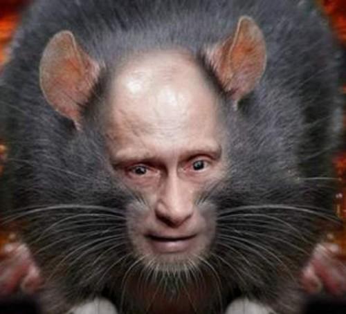 Кремлевская крыса